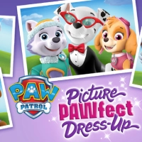 Paw Patrol: Perfekte Verkleidung Für Bilder